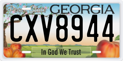 GA license plate CXV8944