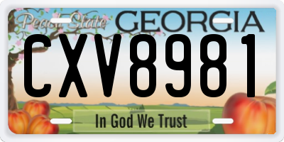 GA license plate CXV8981