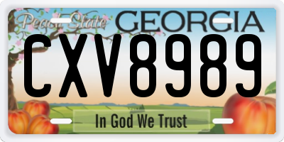 GA license plate CXV8989