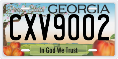 GA license plate CXV9002