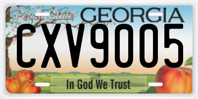 GA license plate CXV9005