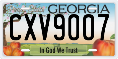 GA license plate CXV9007