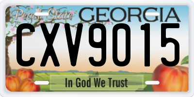 GA license plate CXV9015