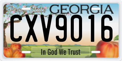 GA license plate CXV9016