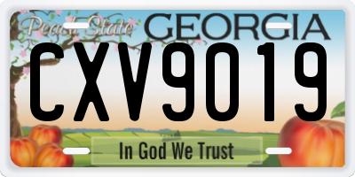 GA license plate CXV9019
