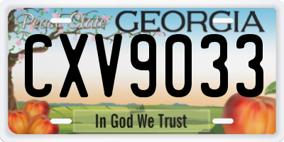 GA license plate CXV9033