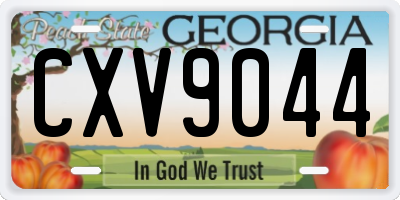 GA license plate CXV9044