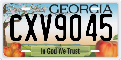 GA license plate CXV9045