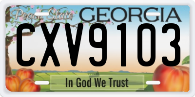 GA license plate CXV9103