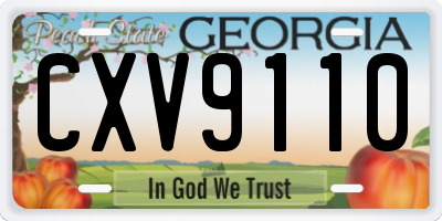 GA license plate CXV9110