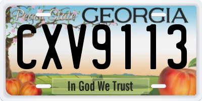 GA license plate CXV9113