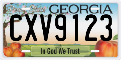 GA license plate CXV9123