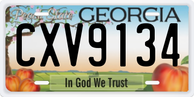 GA license plate CXV9134