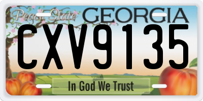 GA license plate CXV9135