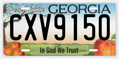 GA license plate CXV9150