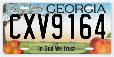 GA license plate CXV9164