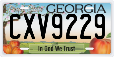 GA license plate CXV9229