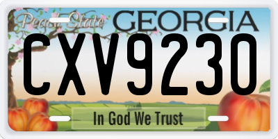 GA license plate CXV9230