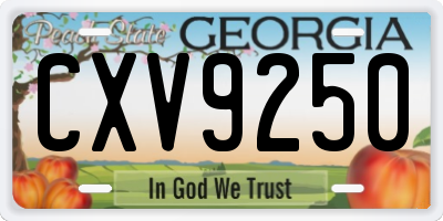 GA license plate CXV9250