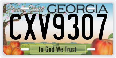 GA license plate CXV9307