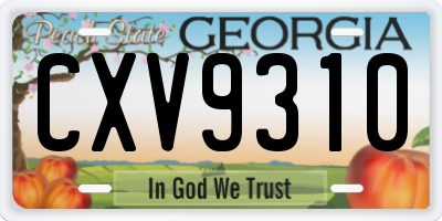 GA license plate CXV9310