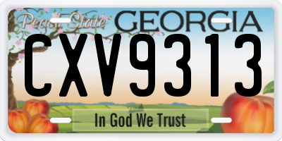 GA license plate CXV9313