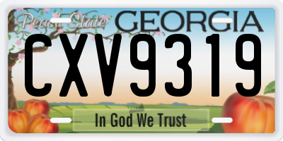 GA license plate CXV9319