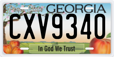 GA license plate CXV9340