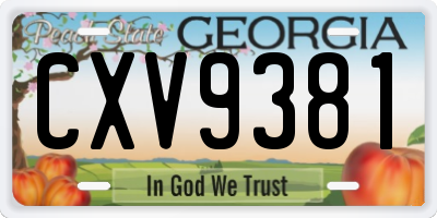 GA license plate CXV9381