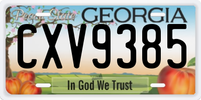 GA license plate CXV9385