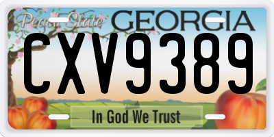GA license plate CXV9389
