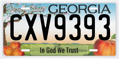 GA license plate CXV9393