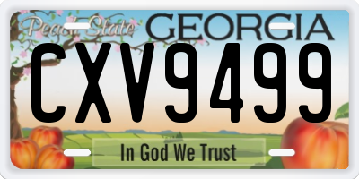 GA license plate CXV9499