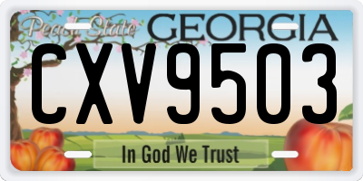 GA license plate CXV9503