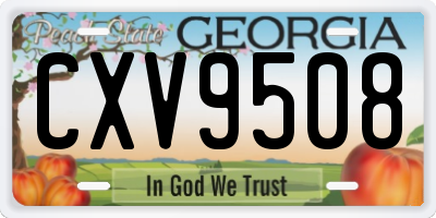 GA license plate CXV9508