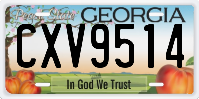 GA license plate CXV9514