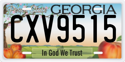 GA license plate CXV9515