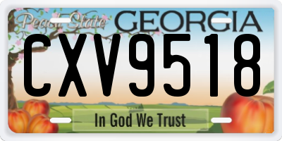 GA license plate CXV9518