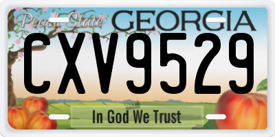 GA license plate CXV9529