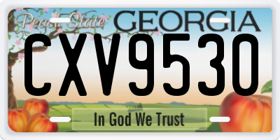 GA license plate CXV9530