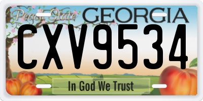 GA license plate CXV9534
