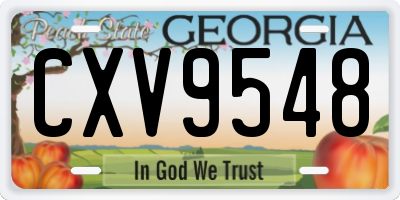 GA license plate CXV9548
