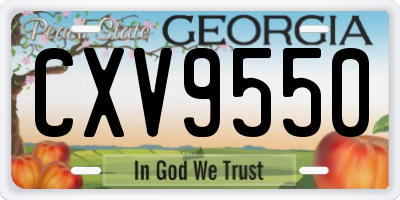 GA license plate CXV9550