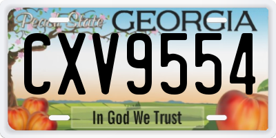 GA license plate CXV9554