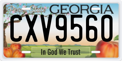 GA license plate CXV9560