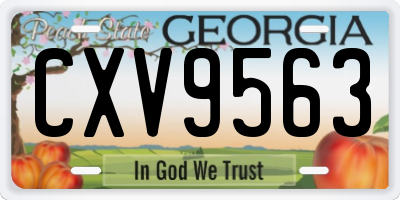 GA license plate CXV9563