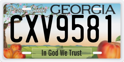 GA license plate CXV9581