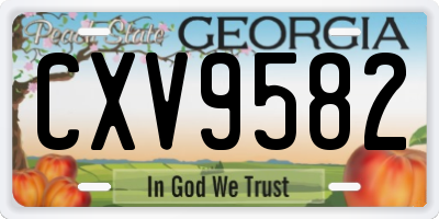 GA license plate CXV9582