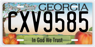 GA license plate CXV9585