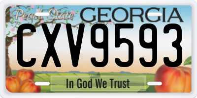 GA license plate CXV9593